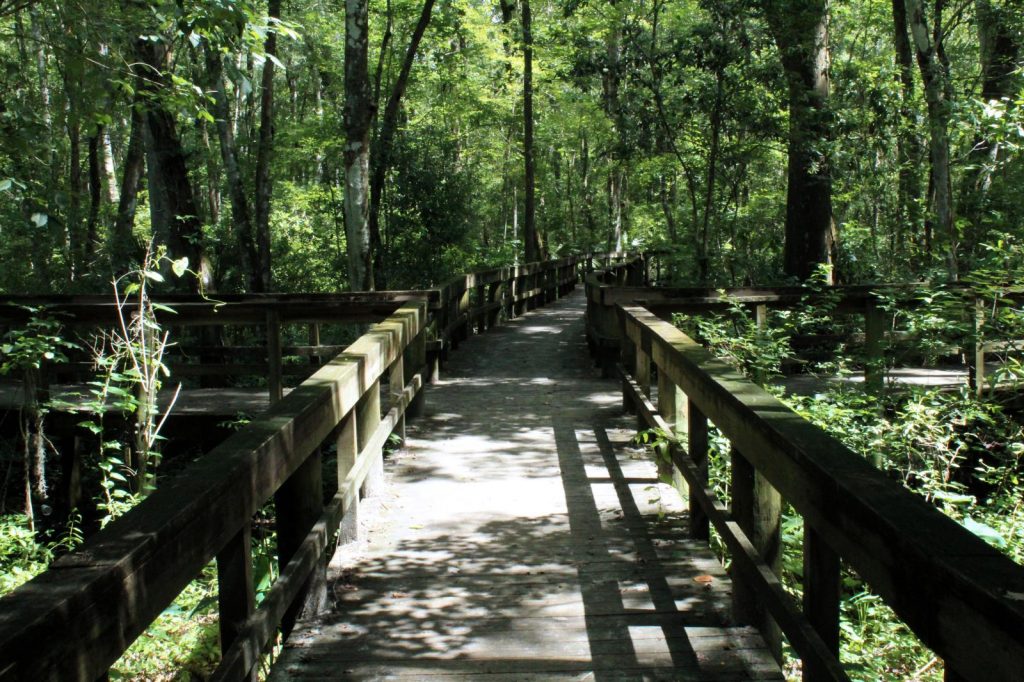 Boardwalk at Master Sgt. John E. Hayes Memorial Park