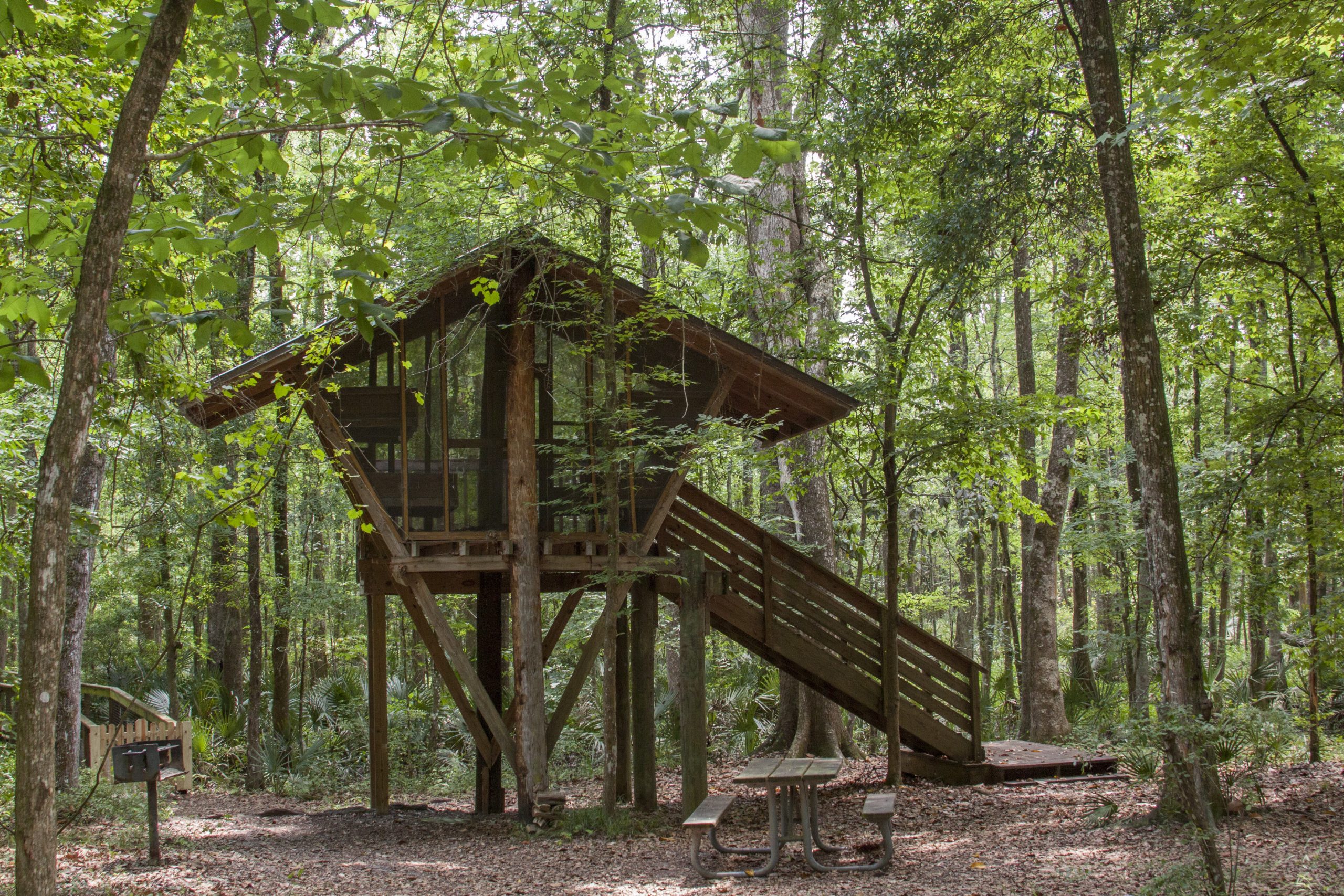 Treehouse Point at Camp Chowenwaw Park