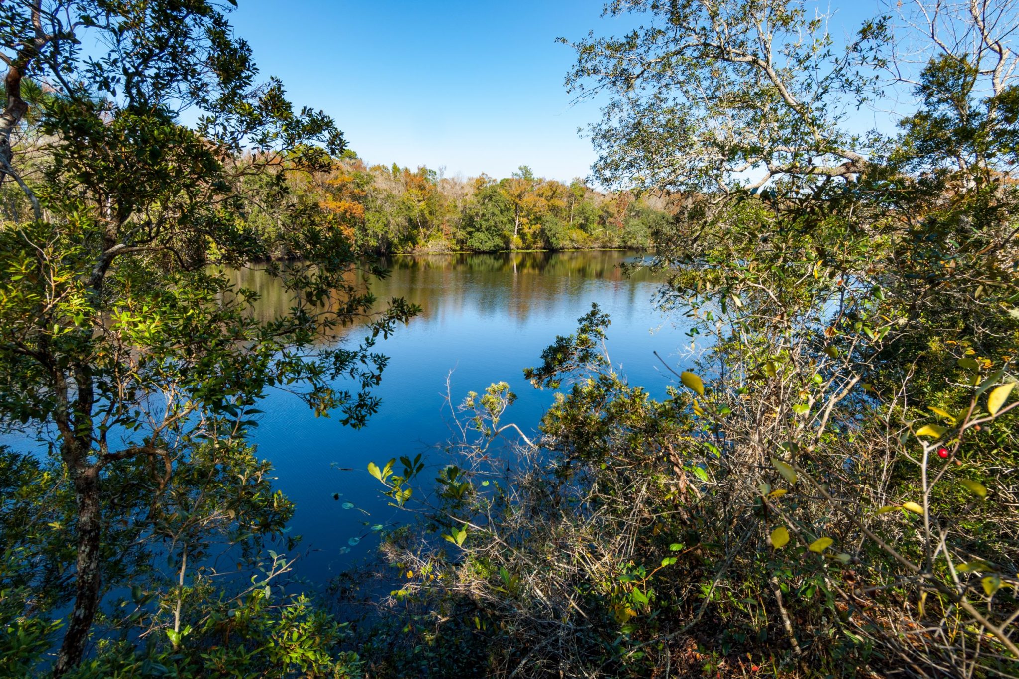 Lynyrd Skynyrd Itinerary Clay County