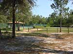 Sports area at Foxmeadow Recreational Park - Middleburg FL