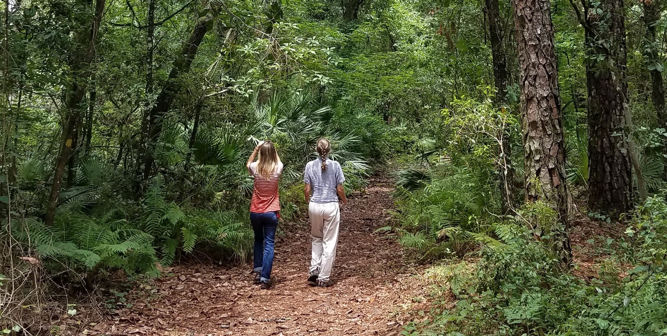 Nature Hikers at Camp Chowenwaw Park - Green Cove Springs FL