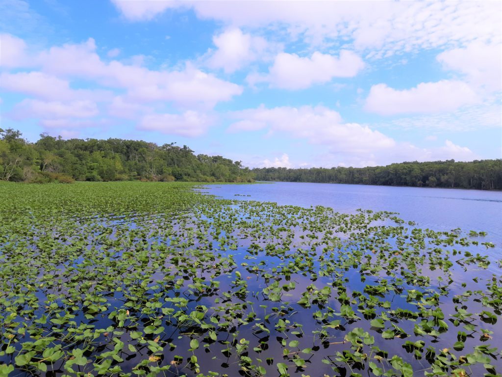 CAM Fishing Updates July 2022