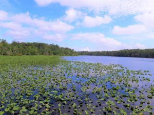 CAM Fishing Updates July 2022