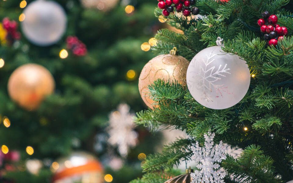 Parade of Trees 2024 Clay County