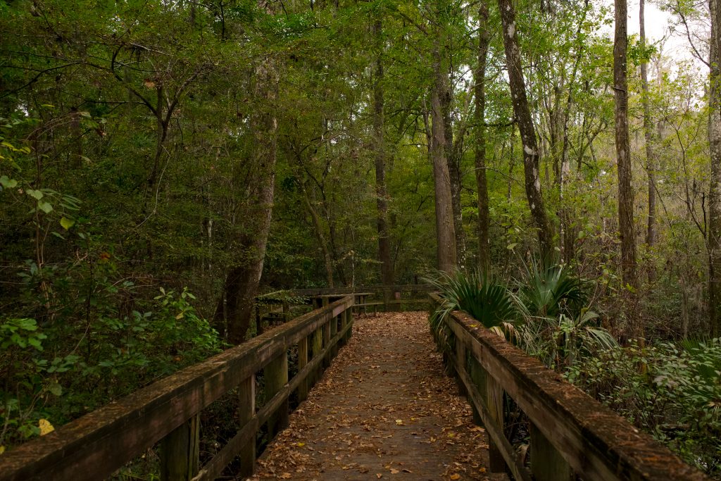 Middleburg Boat Ramp