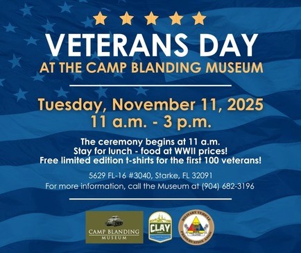 Flyer promoting veterans day event with information