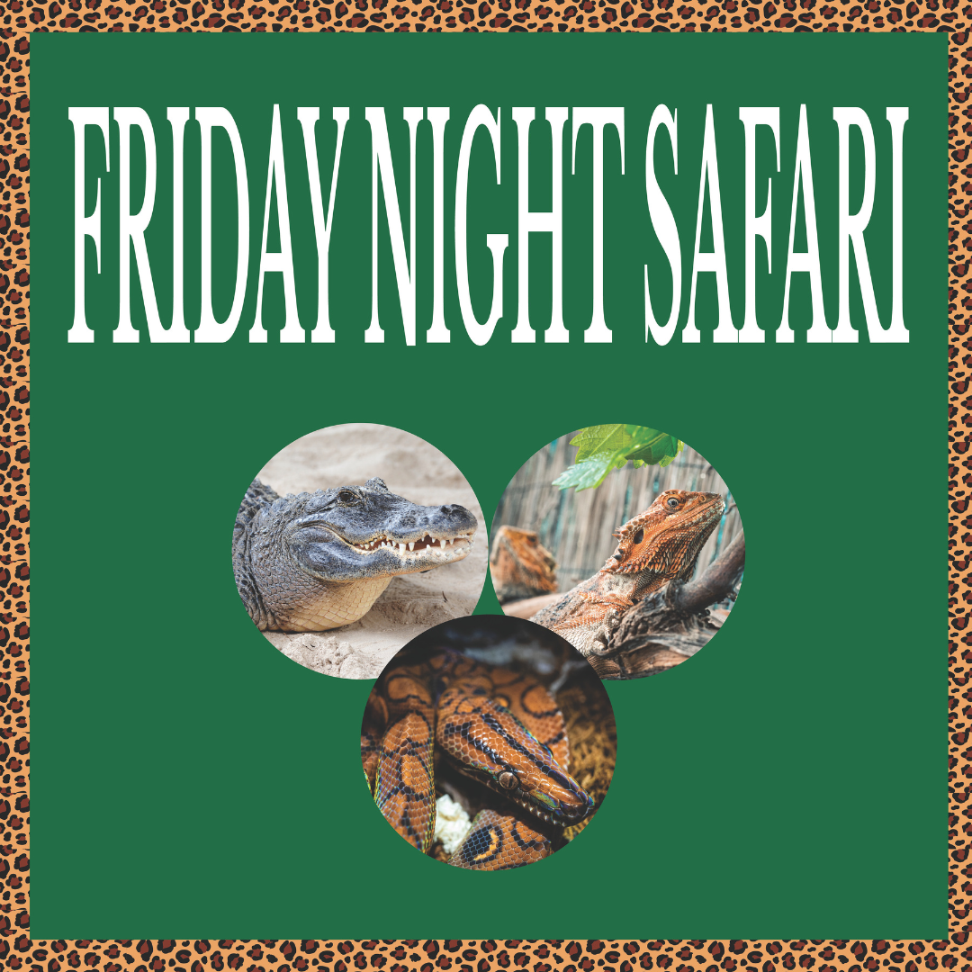 Friday Safari Feature Photo Photos of animals on a green background.