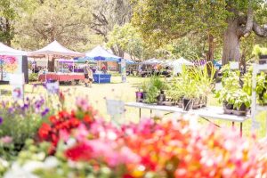 View of Town of Orange Park Farmers Market