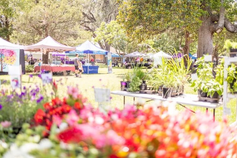 View of Town of Orange Park Farmers Market