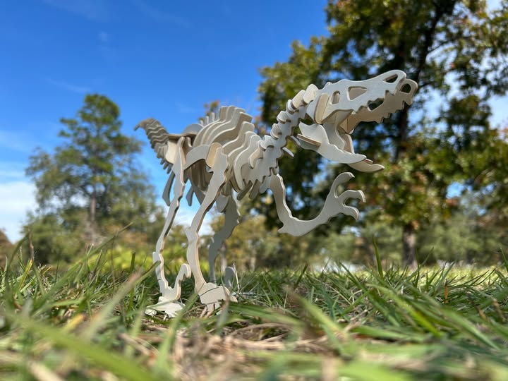 Model dinosaur skeleton in the park.